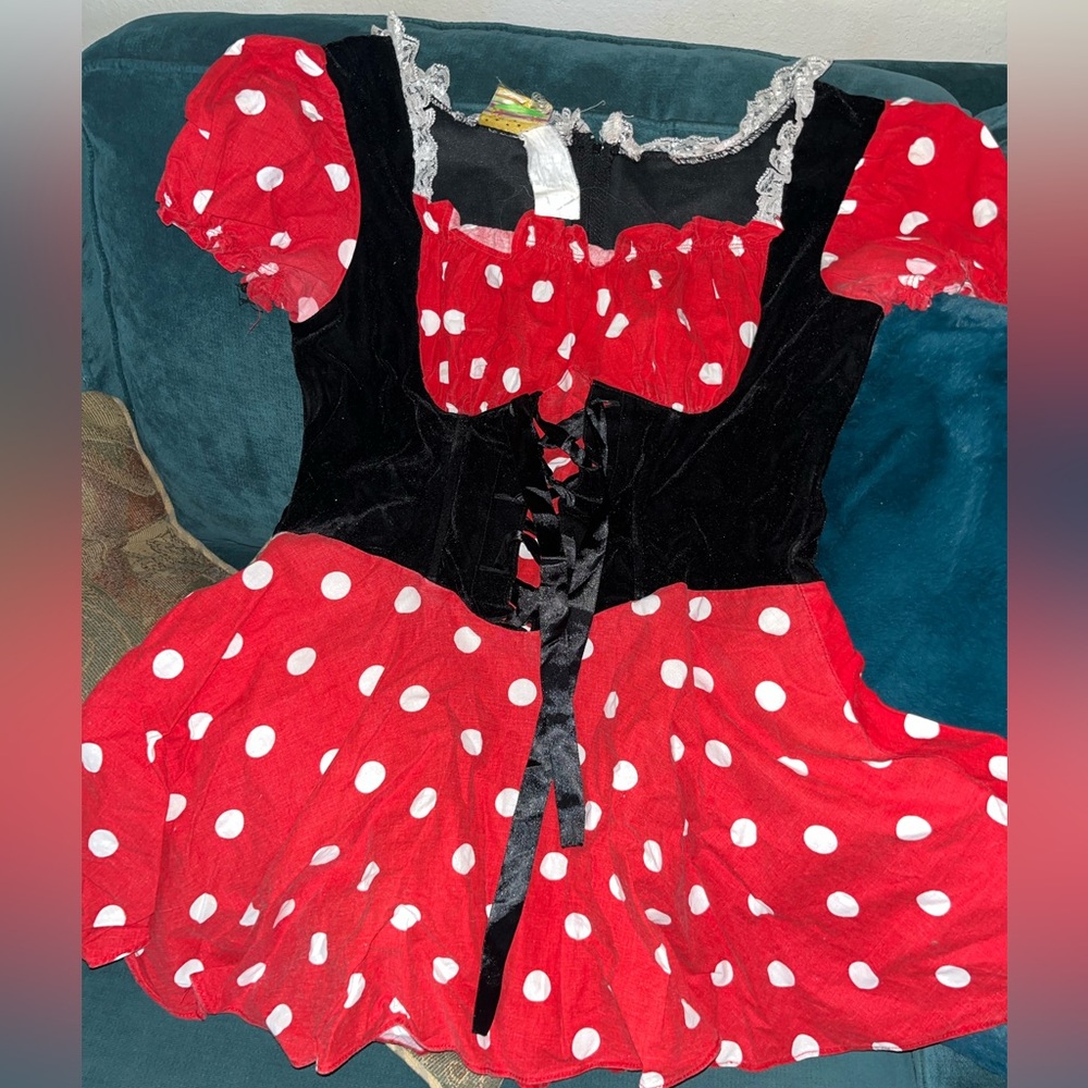 Minnie Mouse costume